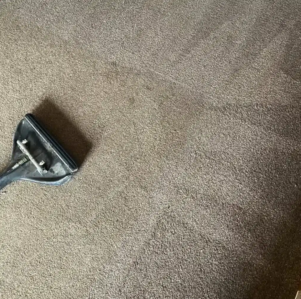 carpet & upholstery cleaning 